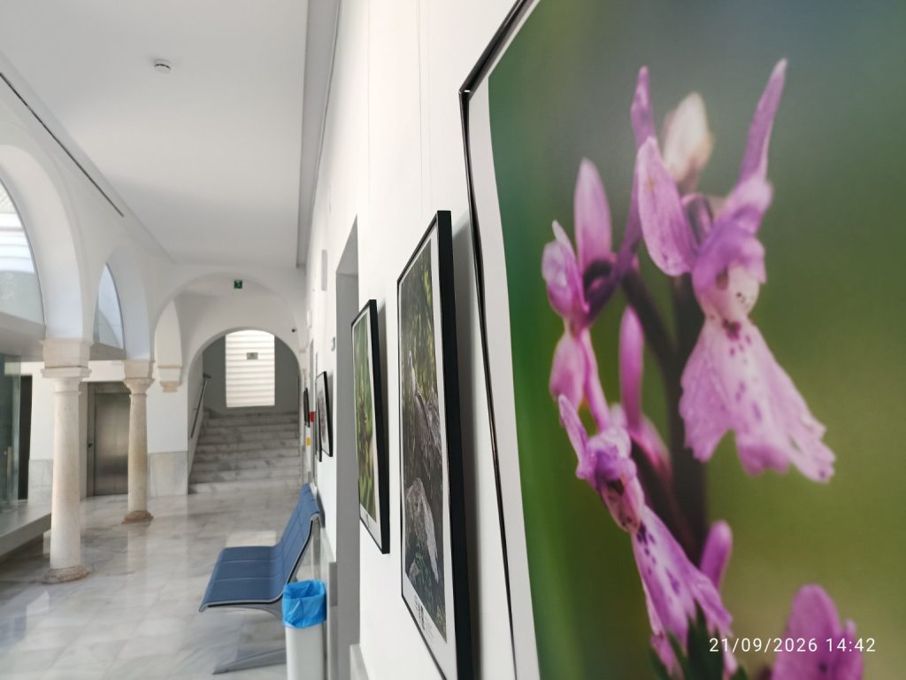 Vista de la exposición Tierra y vida en el edificio de La Milagrosa