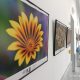Detalle de una flor amarilla en la exposición Tierra y vida