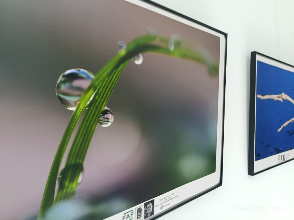 Fotografía de gotas de agua sobre una hoja en la exposición Tierra y vida de Marchena