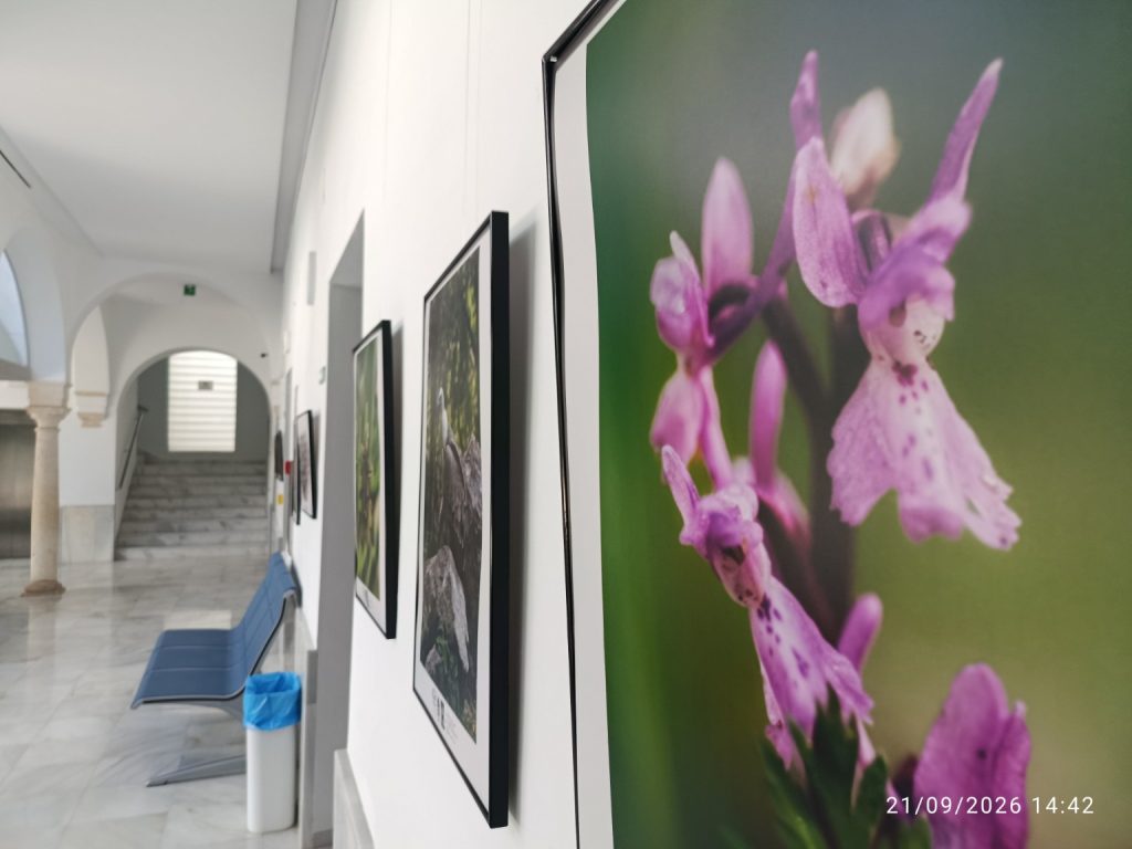 Orquídea fotografiada en la exposición Tierra y vida de Marchena