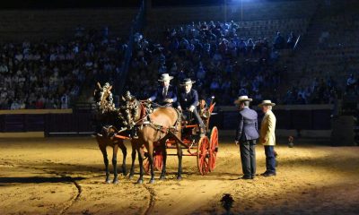 Espectáculo Tierra de Caballos de José León en la Plaza de Toros de Osuna