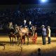 Espectáculo Tierra de Caballos de José León en la Plaza de Toros de Osuna