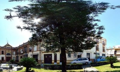 Ayuntamiento de Paradas, localidad fundada en 1460 en el término de Marchena según la Carta Puebla conservada en su archivo municipal
