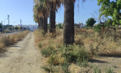 Ciclosenda prevista en la carretera de Carmona hasta Procavi, Marchena