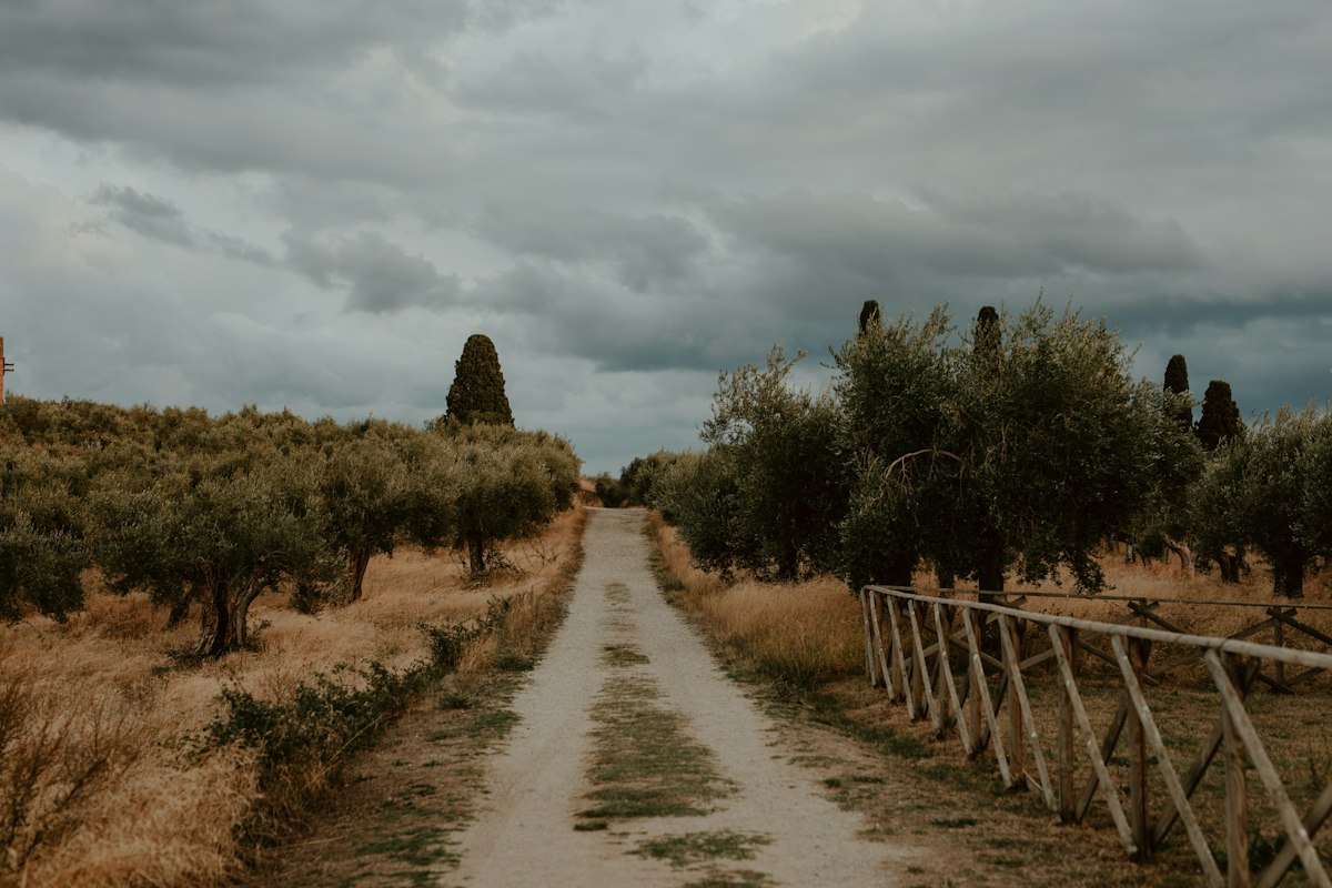 Paisaje rural ilustrativo para previsión meteorológica de la Campiña sevillana